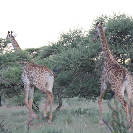 Wag N Bietjie Bush Lodge Heuningneskloof エクステリア 写真