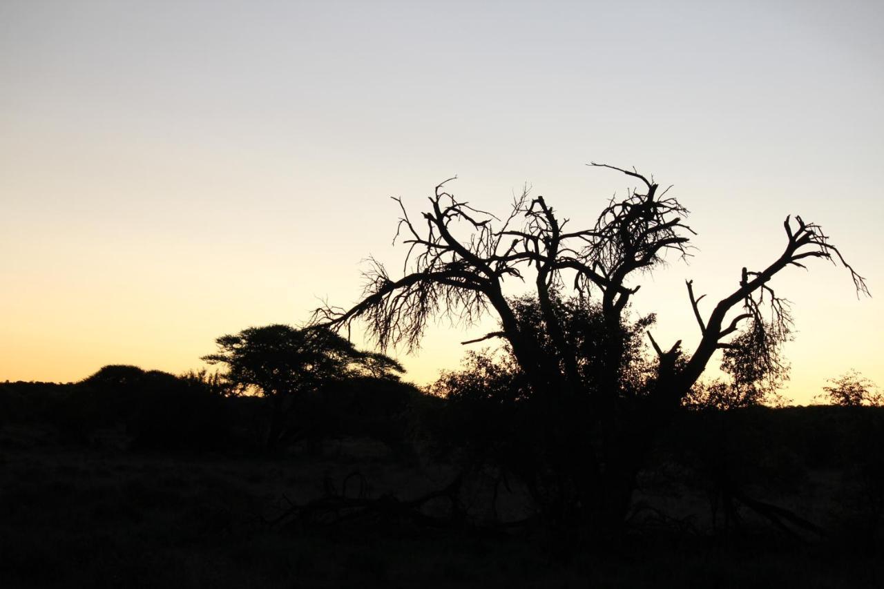 Wag N Bietjie Bush Lodge Heuningneskloof エクステリア 写真